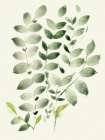 Neutral Watercolor Leaves 1 Art Print