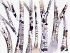 Lavender Birch Trees Art Print