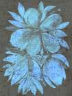 Vintage Stamped Flowers 1 Art Print