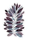Botanical Brushstroke 1 Art Print