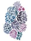 Watercolor Succulent 1 Art Print