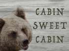 Cabin Sweet Cabin 1 Art Print