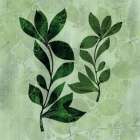 Natural Greens 1 Art Print