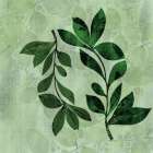 Natural Greens 2 Art Print