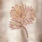 Vintage Flowers 2 Art Print