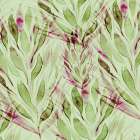 Verdant Reflection 1 Art Print