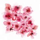 Cherry Blossom 1 Art Print
