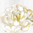 White Peony Art Print