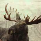 Moose Portrait 2 Art Print