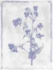 Monochrome Floral Lavender Art Print