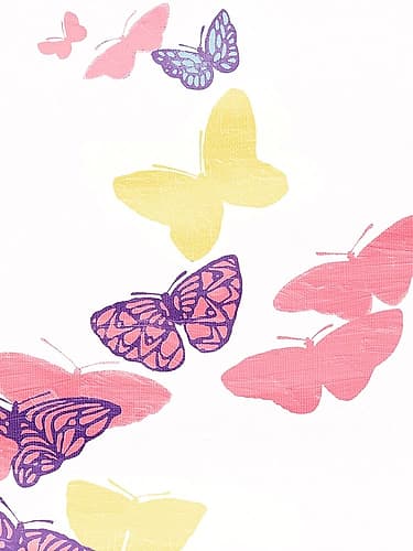Butterfly Animaux reproduction