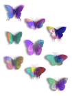 Floating Butterfly Art Print
