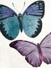 Butterfly High One Art Print