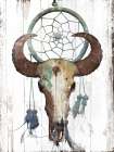 Bull With Dreamcatcher Western Print