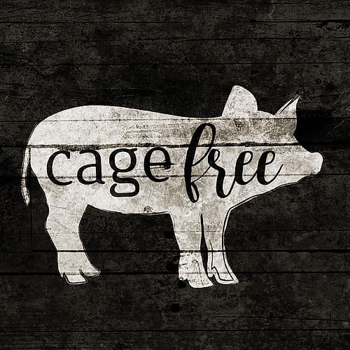 Cage Free Art Print