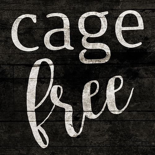 Cage Free Art Print