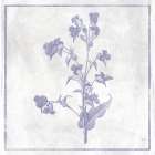 Monochrome Floral Lavender 1 Art Print