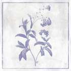 Monochrome Floral Lavender 2 Art Print
