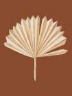 Beige Leaf Art Print