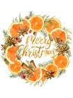 Oranges And Christmas Art Print