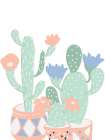 Peachy Cacti Botanical Print