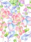 Succulent Vine Art Print