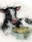 Hay To The MOO Art Print
