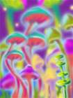 Real Trip Art Print