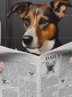 Daily Poochie Art Print