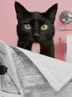 Kitty Satisfying Reading Art Print