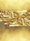 Gold Foils Art Print