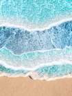 Shore Art Print