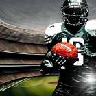 Touchdown Art Print