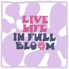 Groovy Daisy In Full Bloom 2 Art Print
