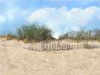 A Sun Beach Day 1 Art Print
