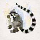Lemur Art Print