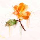 Spring Bloom Art Print