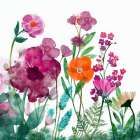 Vibrant Wild Flowers 2 Art Print
