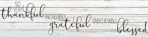 So Very Thankful Art Print