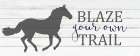 Blaze Your Own Trail Art Print