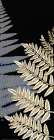 Fern Gold 2 Art Print