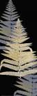 Fern Gold 3 Art Print