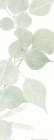 Soft Green 1 Botanical Print