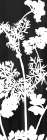 Botanical Panel 2 Art Print