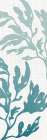 Seaweed Panel 1 Art Print