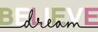 Believe Dream 1 Art Print