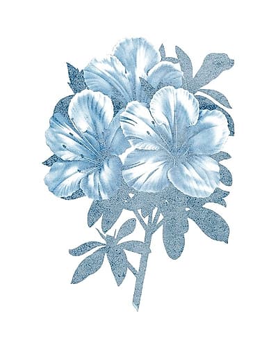 Azalea Blue 1 Art Print