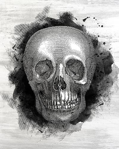 Skull Art Print