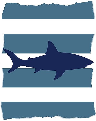 Wild One 1 Kids Print