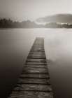 At The Dock Sepia Art Print